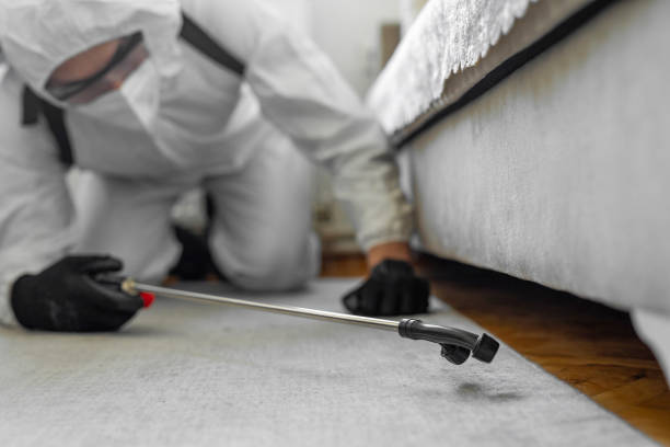 Professional Termite Control technician working in Galena, IL