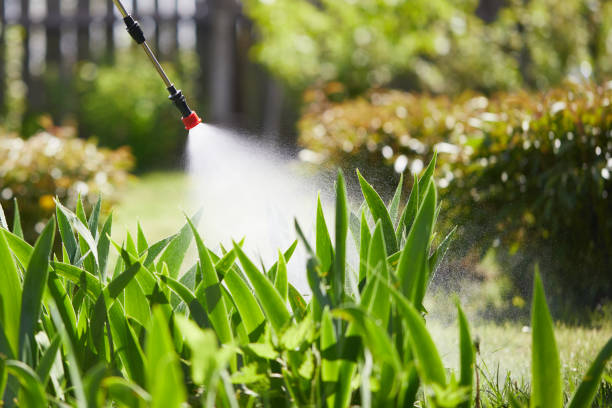 24/7 Emergency Termite Control experts in Galena, IL